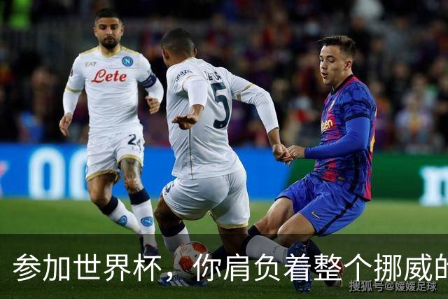 参加世界杯，你肩负着整个挪威的期望！哈兰德：我喜欢这样