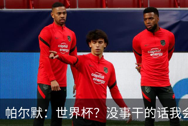 帕尔默：世界杯？没事干的话我会看看，我希望他们能走到最后