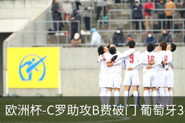 欧洲杯-C罗助攻B费破门 葡萄牙3-0土耳其