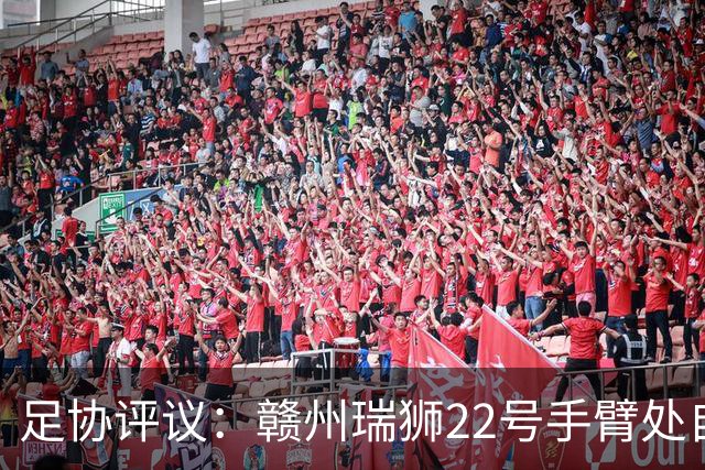 足协评议：赣州瑞狮22号手臂处自然位置不犯规；漏判泰安天贶点球